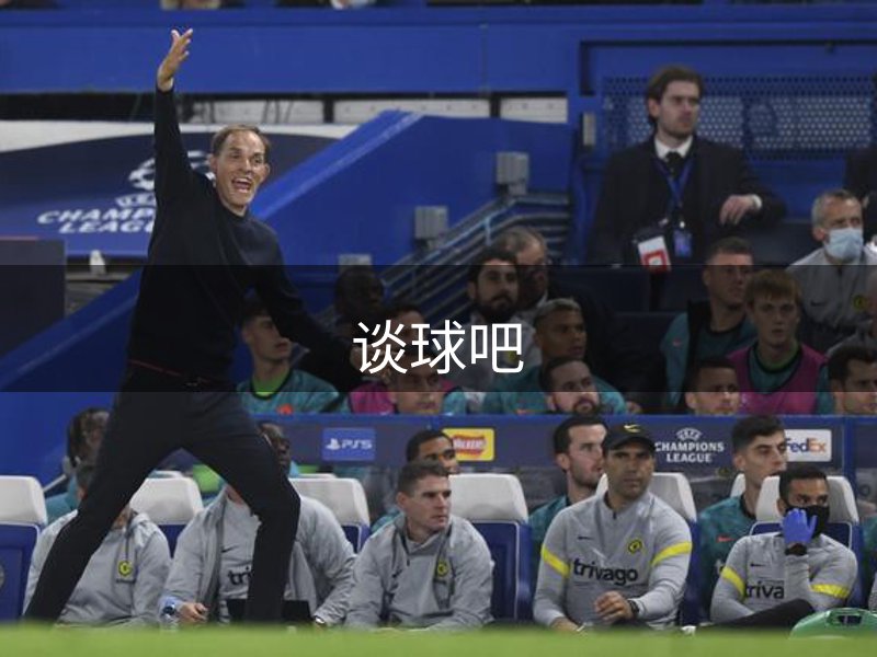 网站概况